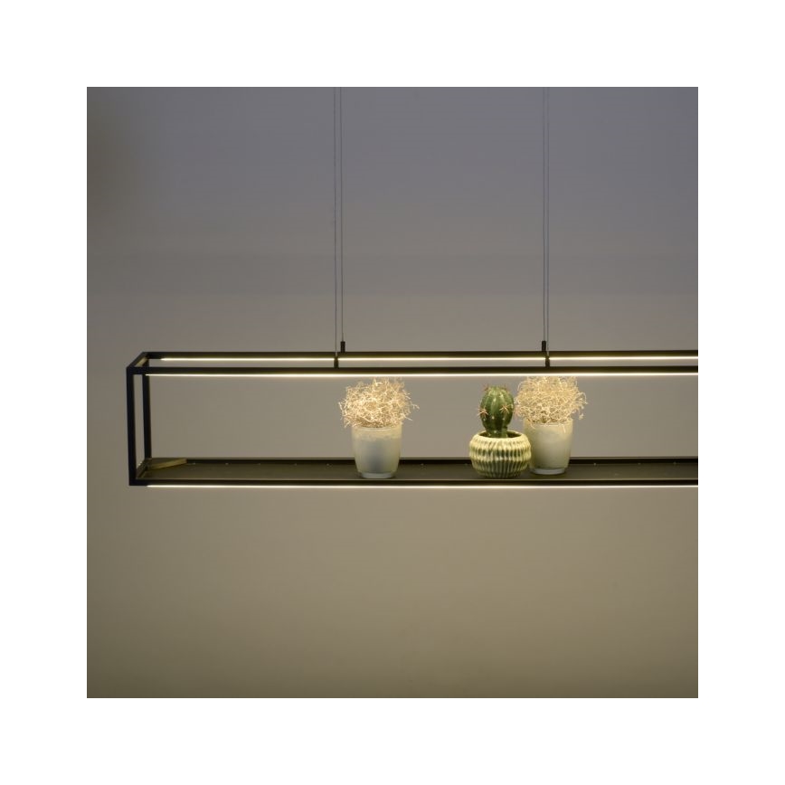 Paul Neuhaus 2441-18 - LED Zatemnitveni lestenec na vrvici CONTURA 4xLED/8W/230V