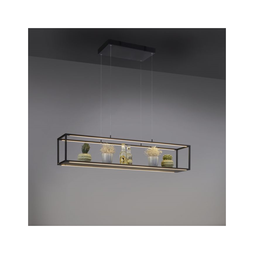 Paul Neuhaus 2441-18 - LED Zatemnitveni lestenec na vrvici CONTURA 4xLED/8W/230V