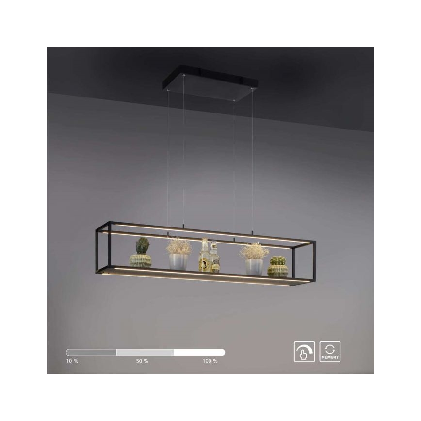 Paul Neuhaus 2441-18 - LED Zatemnitveni lestenec na vrvici CONTURA 4xLED/8W/230V