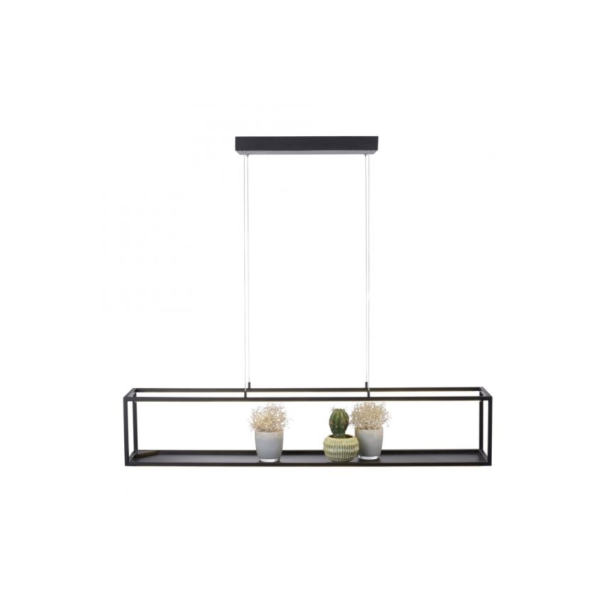 Paul Neuhaus 2441-18 - LED Zatemnitveni lestenec na vrvici CONTURA 4xLED/8W/230V