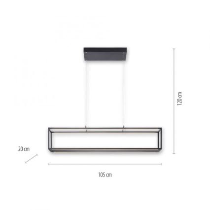 Paul Neuhaus 2441-18 - LED Zatemnitveni lestenec na vrvici CONTURA 4xLED/8W/230V