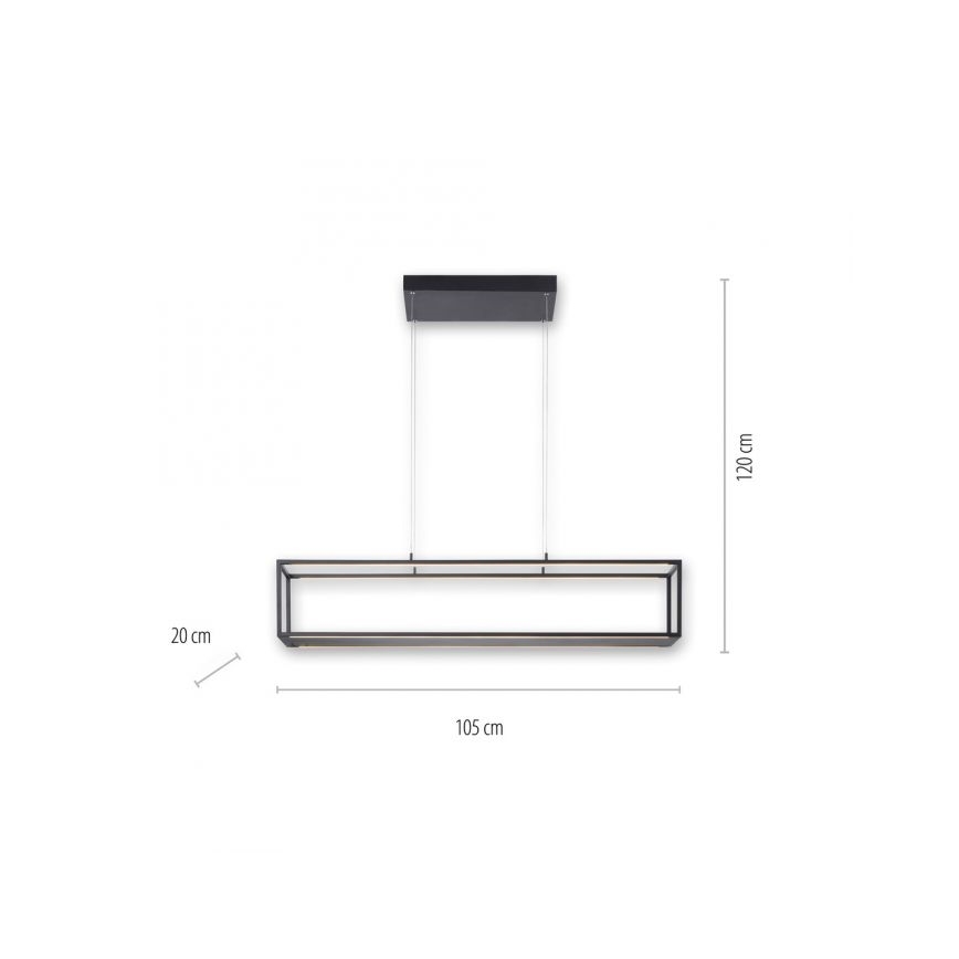 Paul Neuhaus 2441-18 - LED Zatemnitveni lestenec na vrvici CONTURA 4xLED/8W/230V