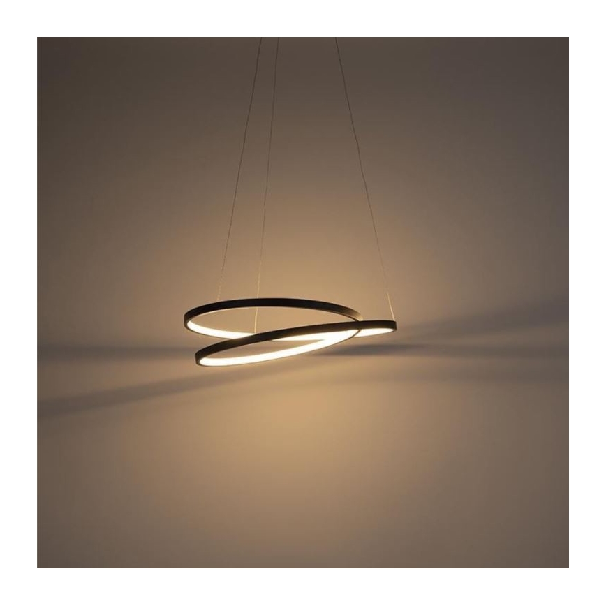 Paul Neuhaus 2472-18 - LED Zatemnitveni lestenec na vrvici ROMAN LED/30W/230V črn