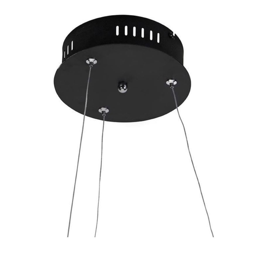 Paul Neuhaus 2472-18 - LED Zatemnitveni lestenec na vrvici ROMAN LED/30W/230V črn