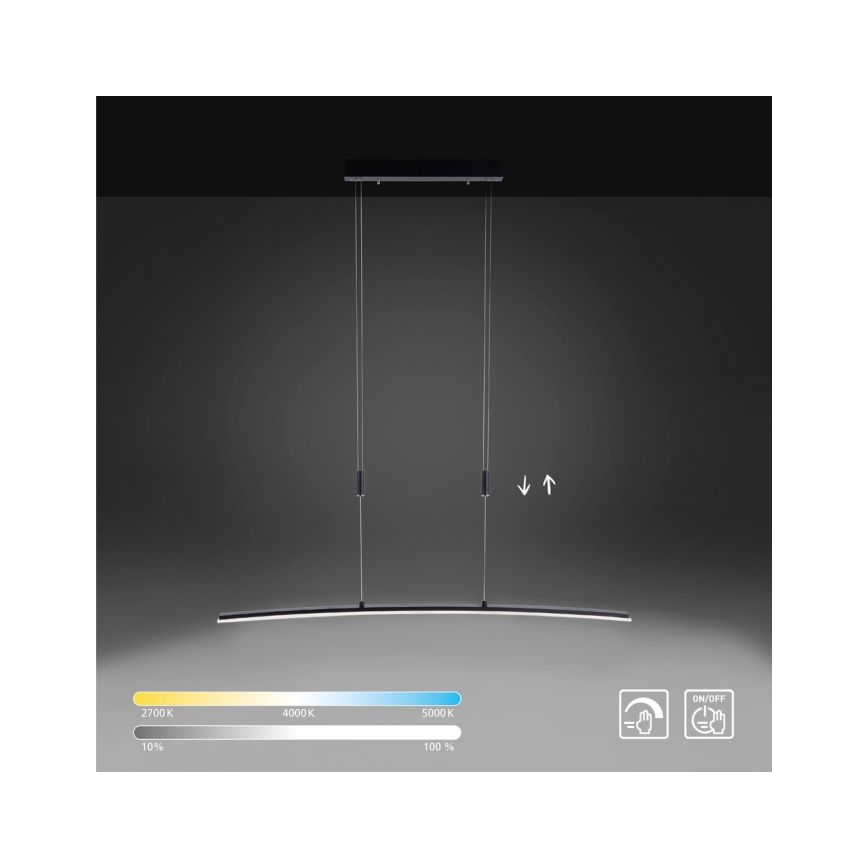 Paul Neuhaus 2530-13 - LED Zatemnitveni lestenec na vrvici JANINA LED/27W/230V