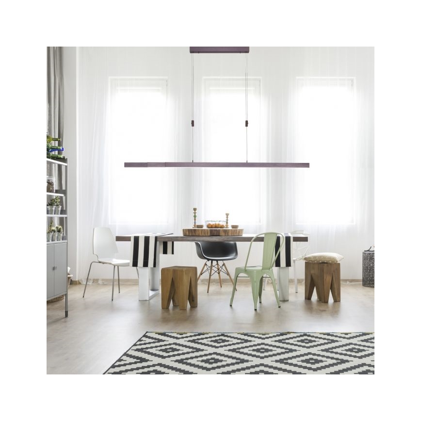 Paul Neuhaus 2568-24 - LED Zatemnitveni lestenec na vrvici ADRIANA LED/14W/230V 2700-5000K