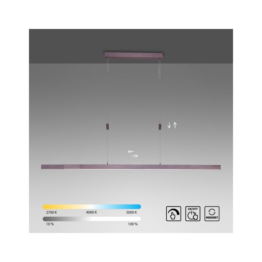 Paul Neuhaus 2568-24 - LED Zatemnitveni lestenec na vrvici ADRIANA LED/14W/230V 2700-5000K