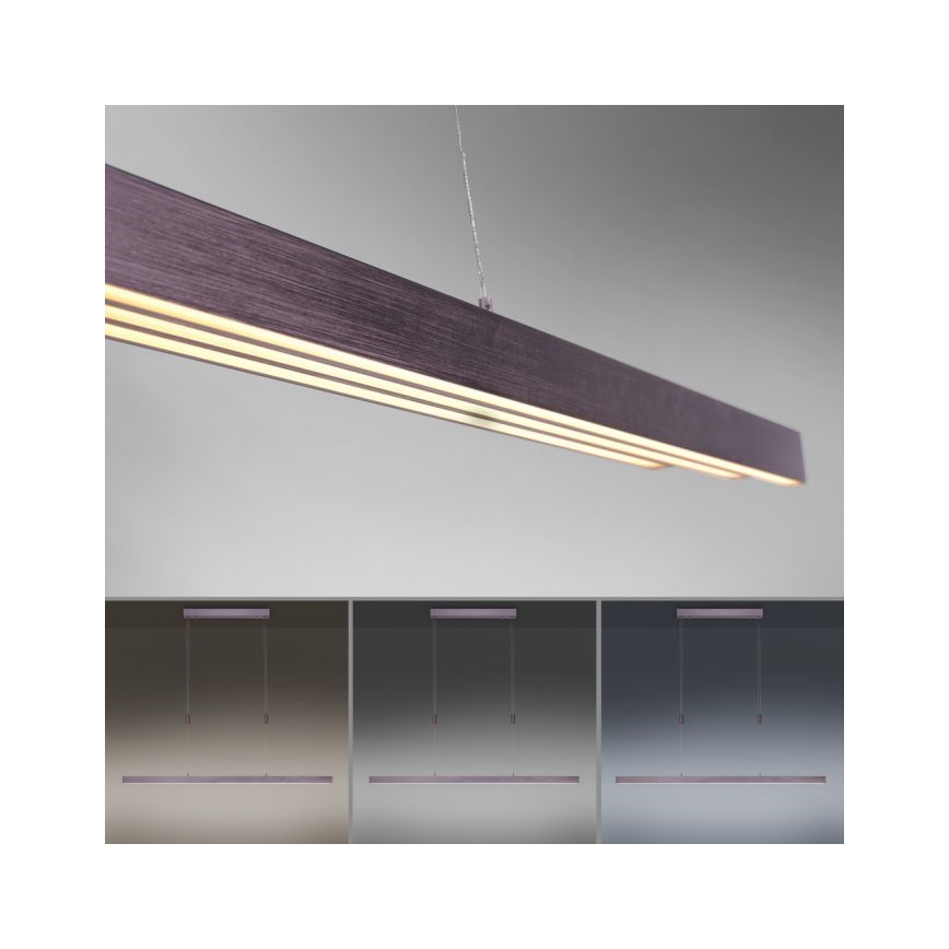 Paul Neuhaus 2568-24 - LED Zatemnitveni lestenec na vrvici ADRIANA LED/14W/230V 2700-5000K