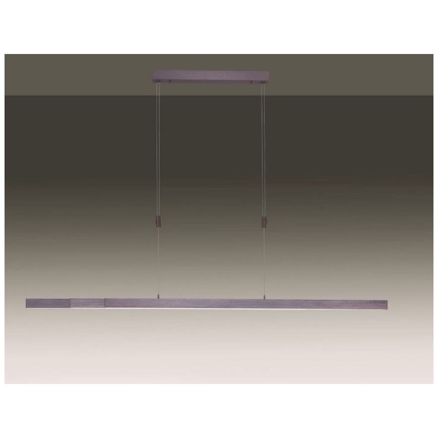 Paul Neuhaus 2568-24 - LED Zatemnitveni lestenec na vrvici ADRIANA LED/14W/230V 2700-5000K