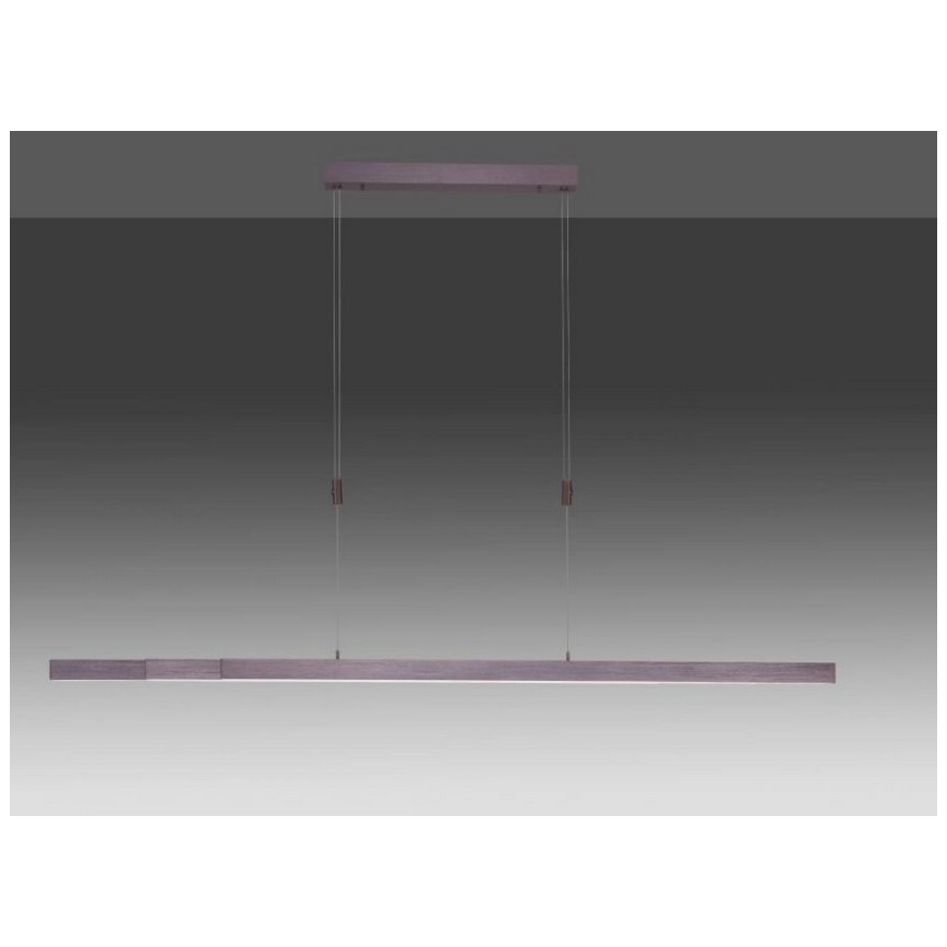 Paul Neuhaus 2568-24 - LED Zatemnitveni lestenec na vrvici ADRIANA LED/14W/230V 2700-5000K
