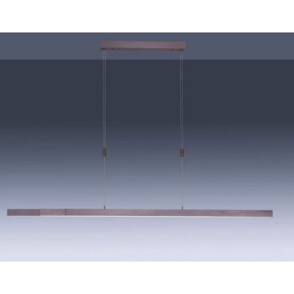 Paul Neuhaus 2568-24 - LED Zatemnitveni lestenec na vrvici ADRIANA LED/14W/230V 2700-5000K