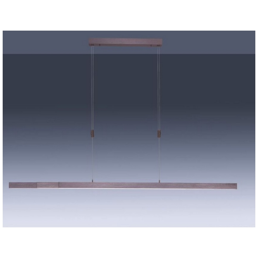 Paul Neuhaus 2568-24 - LED Zatemnitveni lestenec na vrvici ADRIANA LED/14W/230V 2700-5000K