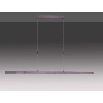 Paul Neuhaus 2568-24 - LED Zatemnitveni lestenec na vrvici ADRIANA LED/14W/230V 2700-5000K