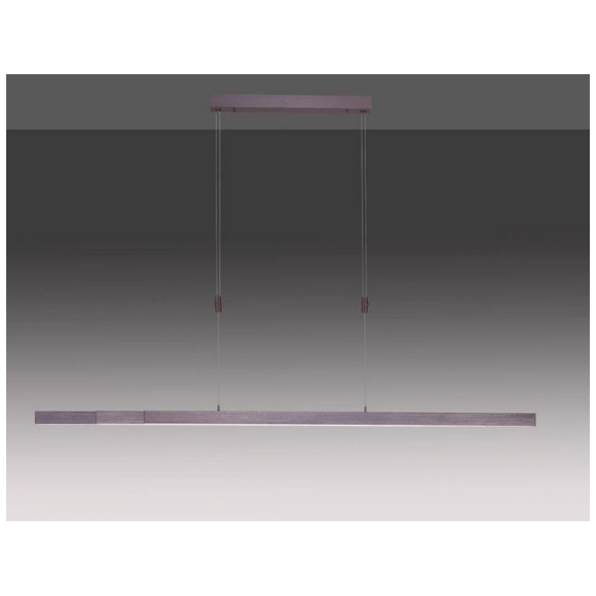 Paul Neuhaus 2568-24 - LED Zatemnitveni lestenec na vrvici ADRIANA LED/14W/230V 2700-5000K