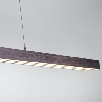 Paul Neuhaus 2568-24 - LED Zatemnitveni lestenec na vrvici ADRIANA LED/14W/230V 2700-5000K