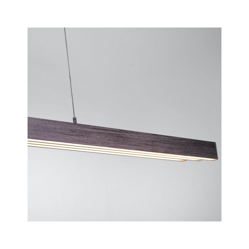 Paul Neuhaus 2568-24 - LED Zatemnitveni lestenec na vrvici ADRIANA LED/14W/230V 2700-5000K