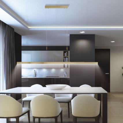 Paul Neuhaus 2568-60 - LED Zatemnitveni lestenec na vrvici ADRIANA LED/14W/230V  2700-5000K medenina