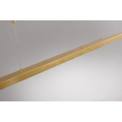 Paul Neuhaus 2568-60 - LED Zatemnitveni lestenec na vrvici ADRIANA LED/14W/230V  2700-5000K medenina