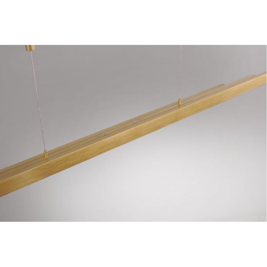Paul Neuhaus 2568-60 - LED Zatemnitveni lestenec na vrvici ADRIANA LED/14W/230V  2700-5000K medenina