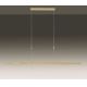 Paul Neuhaus 2568-60 - LED Zatemnitveni lestenec na vrvici ADRIANA LED/14W/230V  2700-5000K medenina
