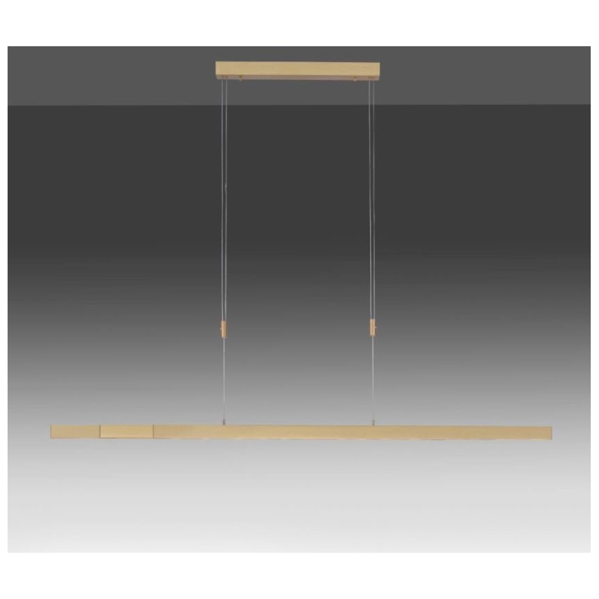 Paul Neuhaus 2568-60 - LED Zatemnitveni lestenec na vrvici ADRIANA LED/14W/230V  2700-5000K medenina