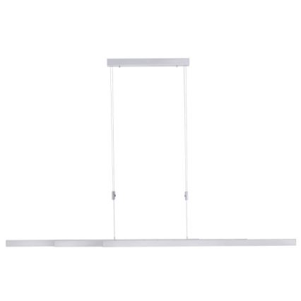 Paul Neuhaus 2568-95 - LED Zatemnitveni lestenec na vrvici ADRIANA LED/14W/230V 2700-5000K mat krom