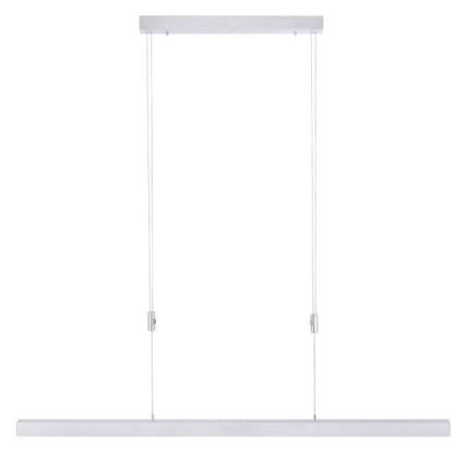 Paul Neuhaus 2568-95 - LED Zatemnitveni lestenec na vrvici ADRIANA LED/14W/230V 2700-5000K mat krom