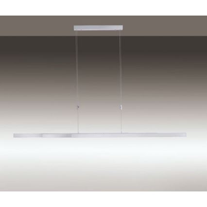 Paul Neuhaus 2568-95 - LED Zatemnitveni lestenec na vrvici ADRIANA LED/14W/230V 2700-5000K mat krom