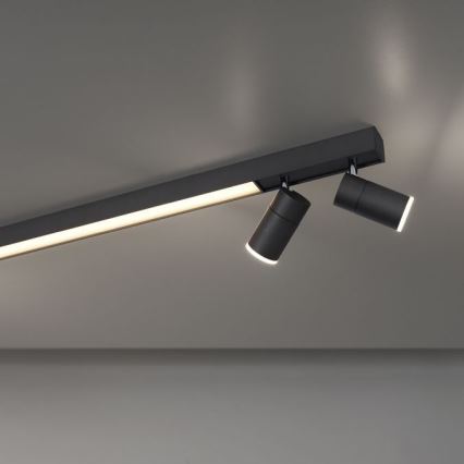 Paul Neuhaus 6121-13 - LED Zatemnitveni reflektor PURE 4xLED/4W/230V + LED/9W 2700-5000K + Daljinski upravljalnik