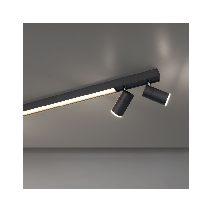 Paul Neuhaus 6121-13 - LED Zatemnitveni reflektor PURE 4xLED/4W/230V + LED/9W 2700-5000K + Daljinski upravljalnik