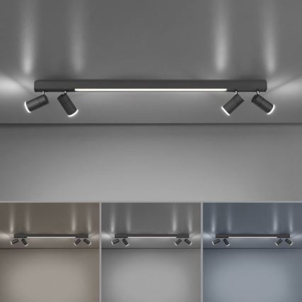 Paul Neuhaus 6121-13 - LED Zatemnitveni reflektor PURE 4xLED/4W/230V + LED/9W 2700-5000K + Daljinski upravljalnik
