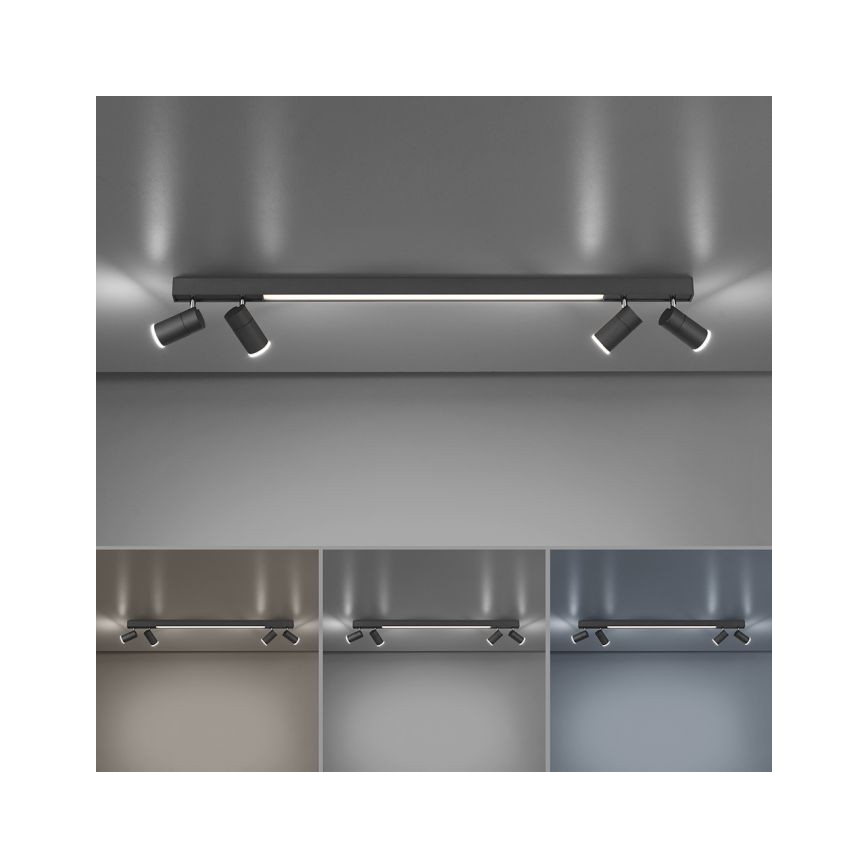 Paul Neuhaus 6121-13 - LED Zatemnitveni reflektor PURE 4xLED/4W/230V + LED/9W 2700-5000K + Daljinski upravljalnik