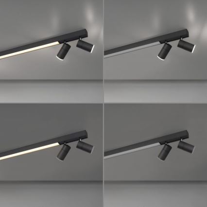 Paul Neuhaus 6121-13 - LED Zatemnitveni reflektor PURE 4xLED/4W/230V + LED/9W 2700-5000K + Daljinski upravljalnik