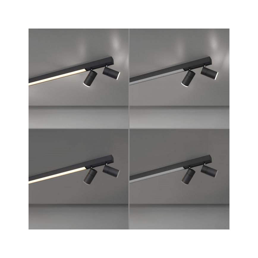 Paul Neuhaus 6121-13 - LED Zatemnitveni reflektor PURE 4xLED/4W/230V + LED/9W 2700-5000K + Daljinski upravljalnik