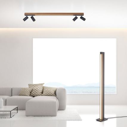Paul Neuhaus 6121-79 - LED Zatemnitveni reflektor PURE 4xLED/4W/230V + LED/9W 2700-5000K + Daljinski upravljalnik