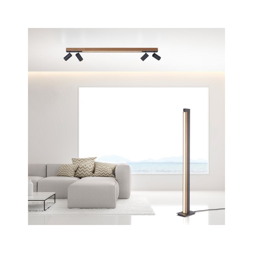 Paul Neuhaus 6121-79 - LED Zatemnitveni reflektor PURE 4xLED/4W/230V + LED/9W 2700-5000K + Daljinski upravljalnik