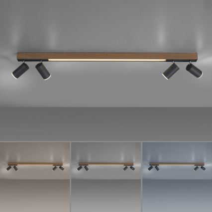 Paul Neuhaus 6121-79 - LED Zatemnitveni reflektor PURE 4xLED/4W/230V + LED/9W 2700-5000K + Daljinski upravljalnik