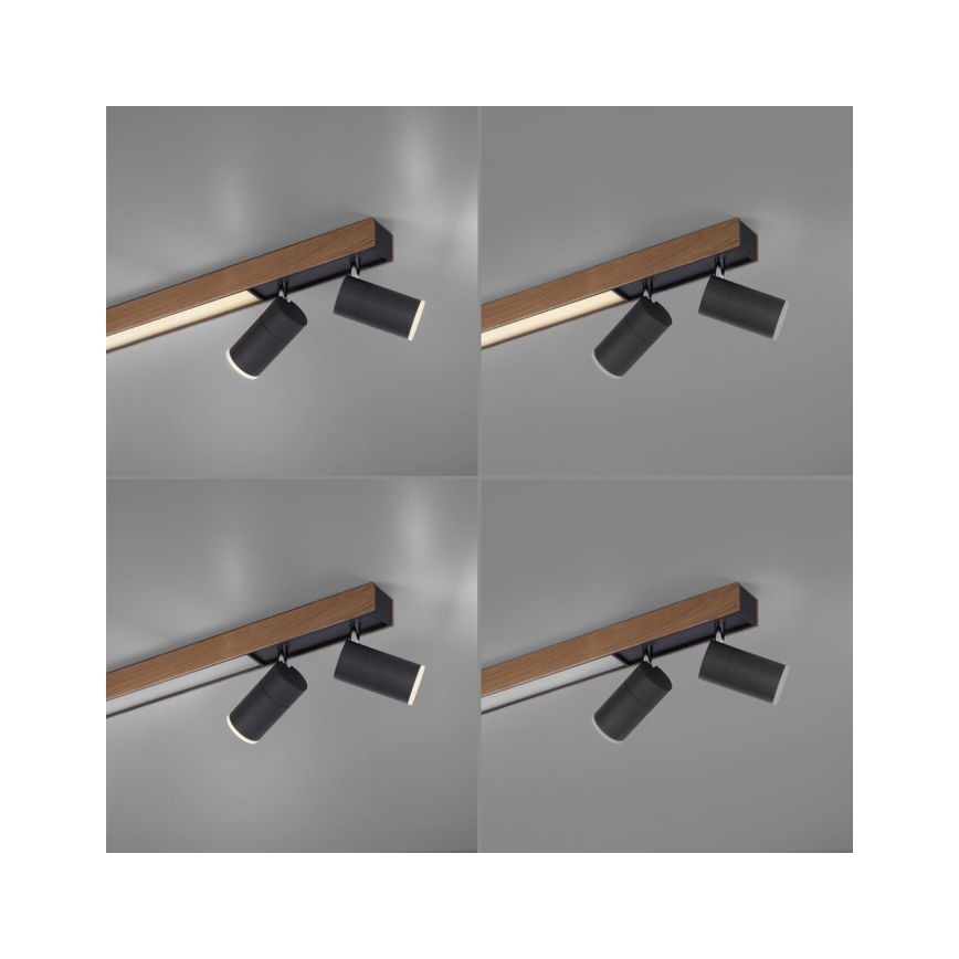 Paul Neuhaus 6121-79 - LED Zatemnitveni reflektor PURE 4xLED/4W/230V + LED/9W 2700-5000K + Daljinski upravljalnik