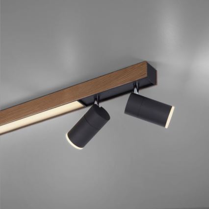 Paul Neuhaus 6121-79 - LED Zatemnitveni reflektor PURE 4xLED/4W/230V + LED/9W 2700-5000K + Daljinski upravljalnik