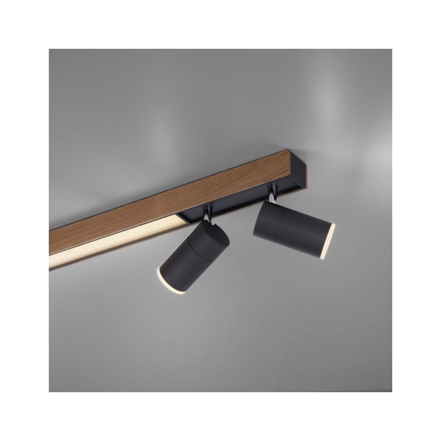 Paul Neuhaus 6121-79 - LED Zatemnitveni reflektor PURE 4xLED/4W/230V + LED/9W 2700-5000K + Daljinski upravljalnik