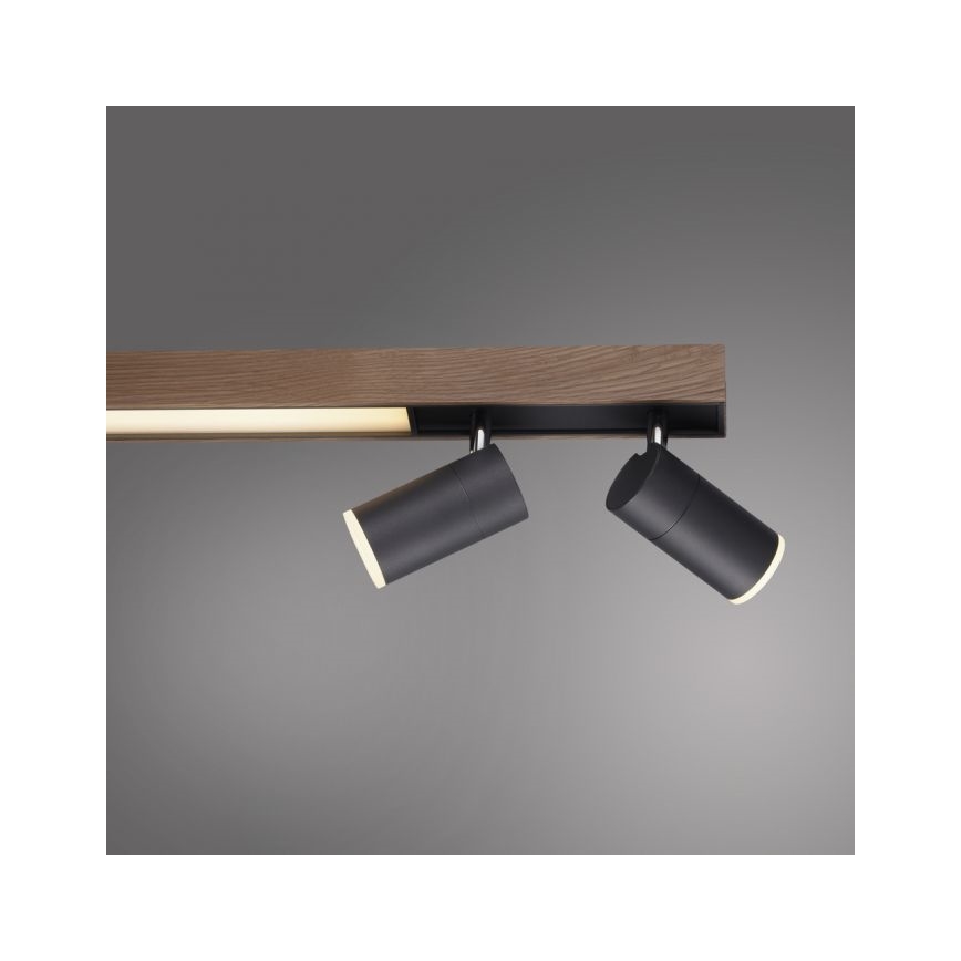 Paul Neuhaus 6121-79 - LED Zatemnitveni reflektor PURE 4xLED/4W/230V + LED/9W 2700-5000K + Daljinski upravljalnik