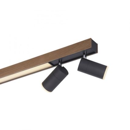 Paul Neuhaus 6121-79 - LED Zatemnitveni reflektor PURE 4xLED/4W/230V + LED/9W 2700-5000K + Daljinski upravljalnik