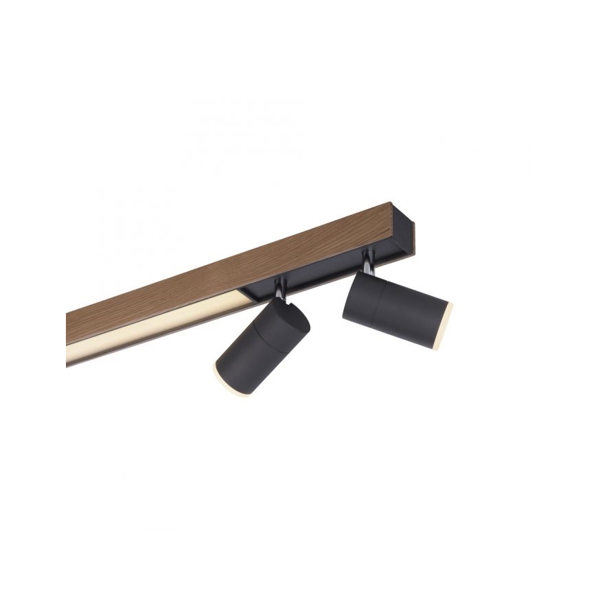 Paul Neuhaus 6121-79 - LED Zatemnitveni reflektor PURE 4xLED/4W/230V + LED/9W 2700-5000K + Daljinski upravljalnik
