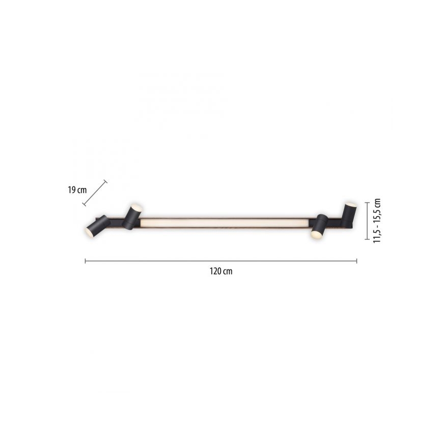Paul Neuhaus 6121-79 - LED Zatemnitveni reflektor PURE 4xLED/4W/230V + LED/9W 2700-5000K + Daljinski upravljalnik