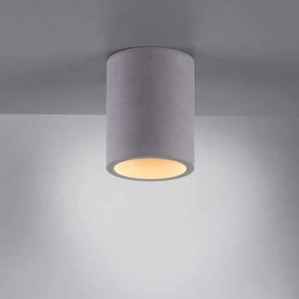 Paul Neuhaus 6160-22 - Reflektor ETON 1xGU10/10W/230V beton