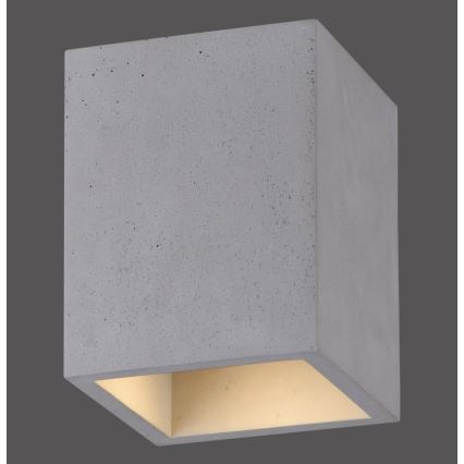 Paul Neuhaus 6161-22 - Reflektor ETON 1xGU10/10W/230V beton