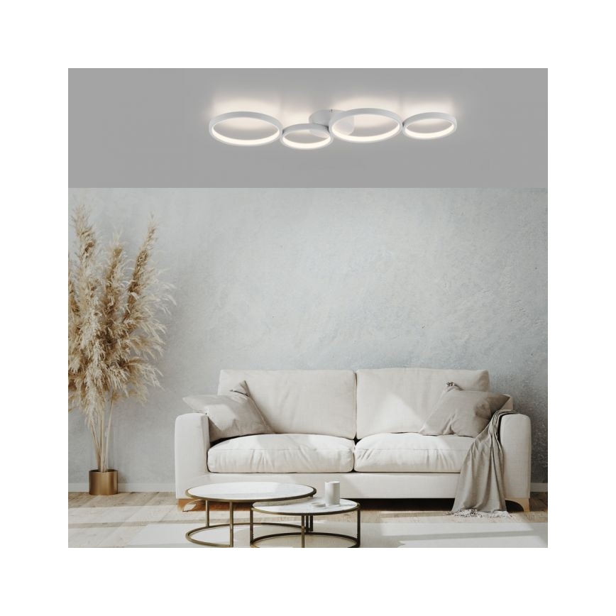 Paul Neuhaus 6183-16 - LED Zatemnitvena stropna svetilka KIRINGE LED/26W/230V
