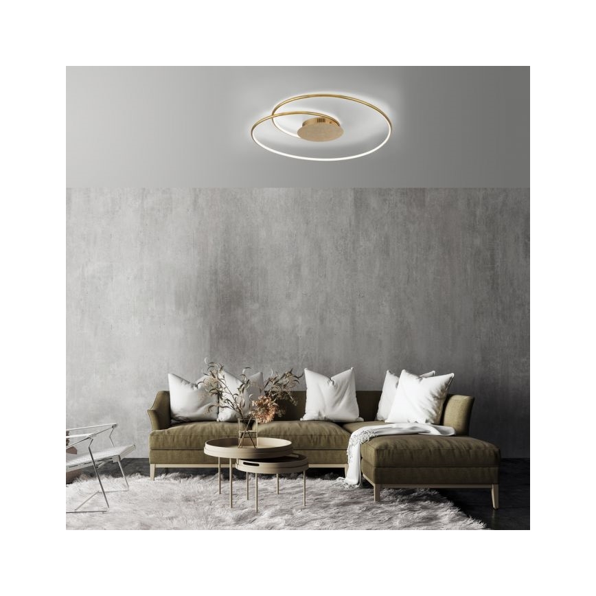 Paul Neuhaus 6189-12 - LED Zatemnitvena stropna svetilka NASTRO LED/26W/230V