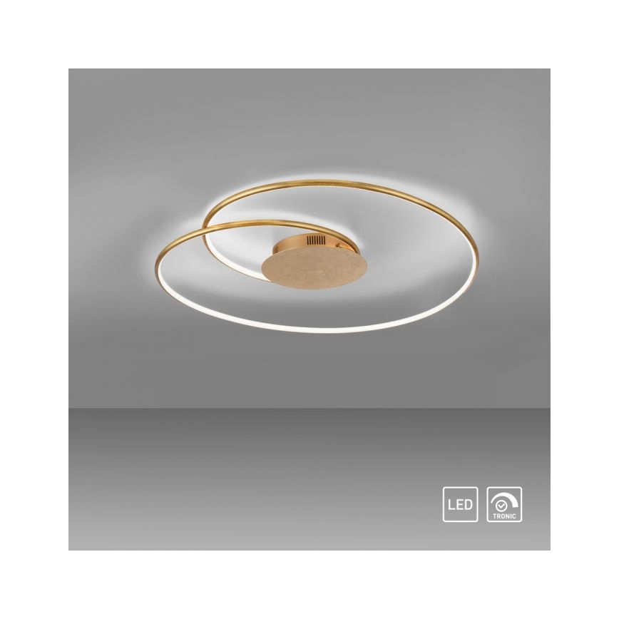 Paul Neuhaus 6189-12 - LED Zatemnitvena stropna svetilka NASTRO LED/26W/230V