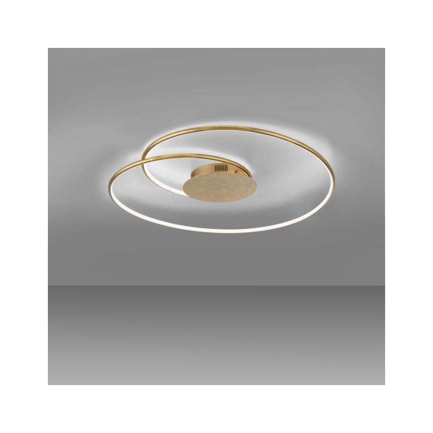 Paul Neuhaus 6189-12 - LED Zatemnitvena stropna svetilka NASTRO LED/26W/230V